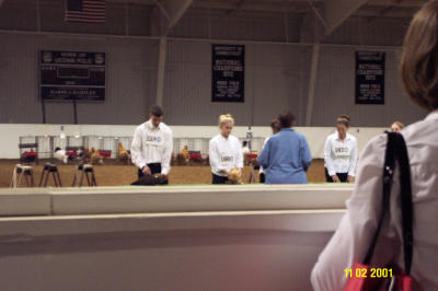 Lindsays Chicken Day 01.JPG
