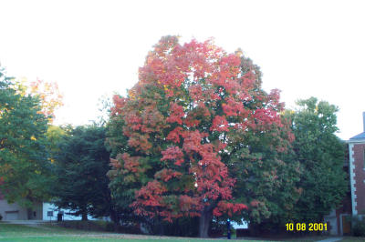 Uconn Campus Excursion 100801 -87.JPG