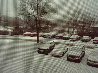 January Snow1.jpg