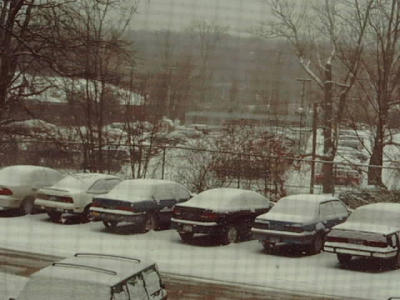 January Snow4.jpg