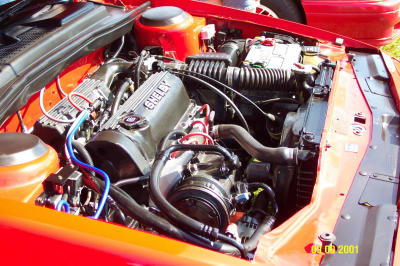 Daytona Shelby Engine3.JPG