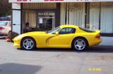 Viper Yellow - BerlinTPK101301 -1.JPG