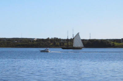 Bluenose raising sail
