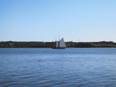Bluenose raising more sail