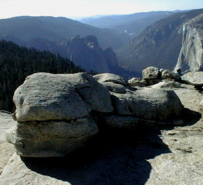 Yosemite Wildlife-- Sleepy Dinosaur Face Rock