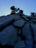 Yosemite-- Up Rocks And Trees To Halfdome