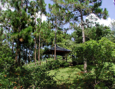 Morikami Gardens- Florida