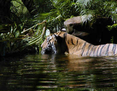 Cooling off