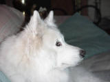Lady Raisa 5-2-00