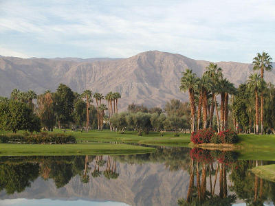 Palm Springs desert area...scenics and wildlife