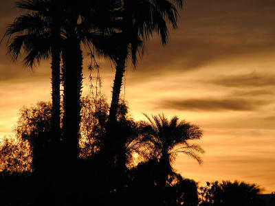 Warm desert sunrise