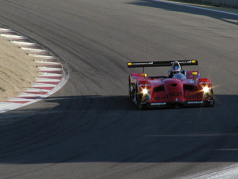 Panoz in turn