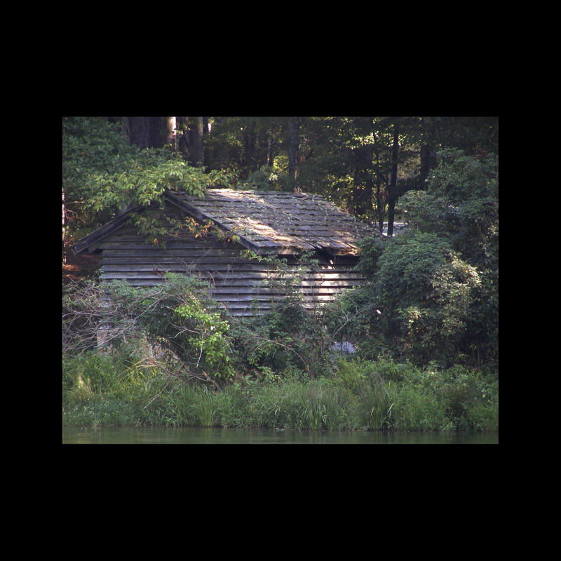 Forgotten Cabin.jpg