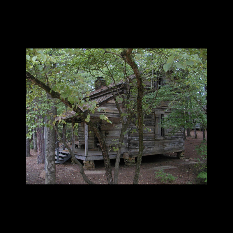 Little Cabin in the Woods.jpg