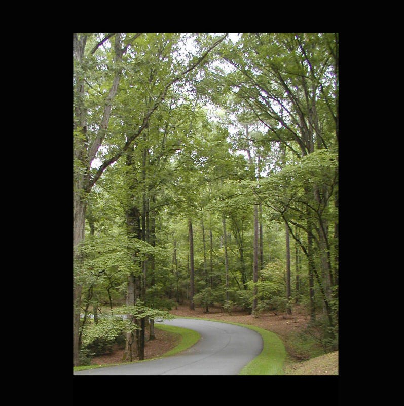 Road Less Traveled.jpg