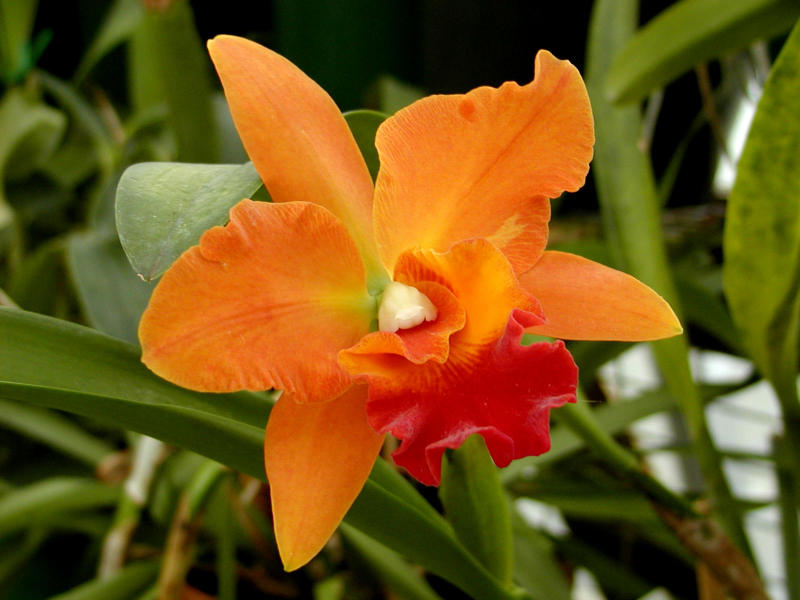 aPA051809.jpg