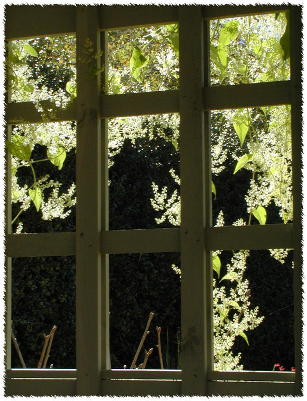 aPA162584.jpg