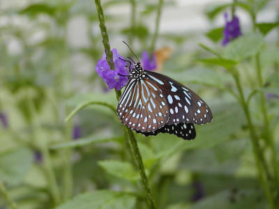 P1010014.JPG