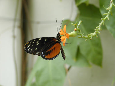 P1010020.JPG