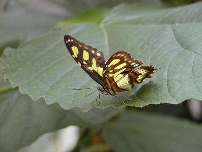 P1010024.JPG