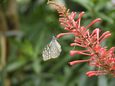 P1010037.JPG
