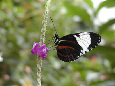 P1010047.JPG