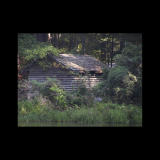 Forgotten Cabin.jpg