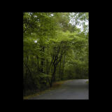 Road Less Traveled 3.jpg