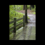 Walking in the Rain.jpg