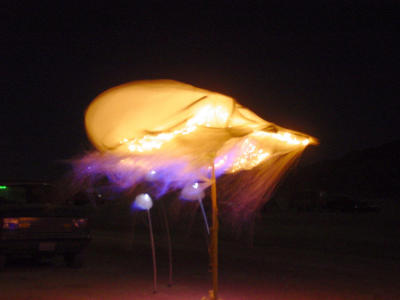 JellyfishTimelapse.jpg