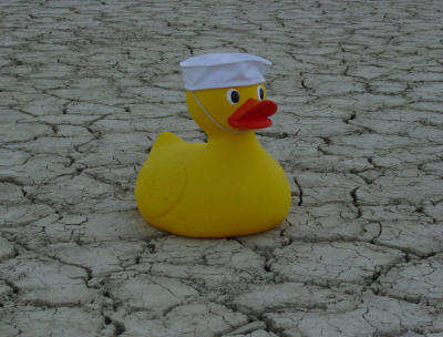 DryDuck.jpg