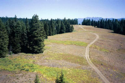ridgeroad