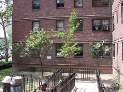 Second floor was home to me, no AC in those days, windows were very different. Trees are new, used to be bushes there.
