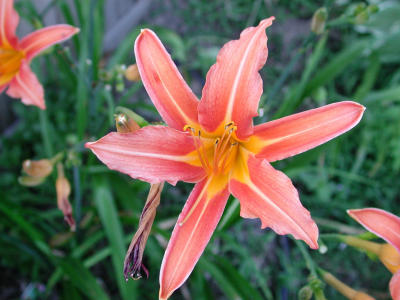 DSCN1053.JPG