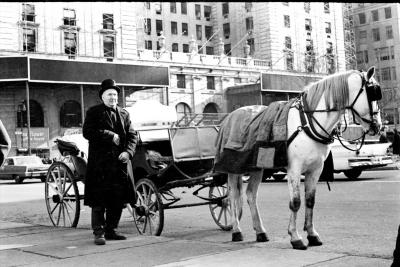 The original Hansom Cab ride in Central Park.