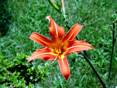 DSCN1067.JPG