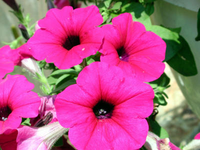 DSCN1071.JPG