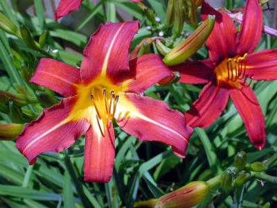 DSCN1073.JPG