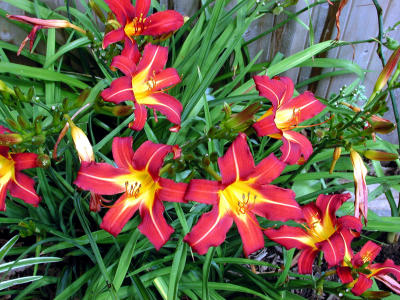 DSCN1075.JPG