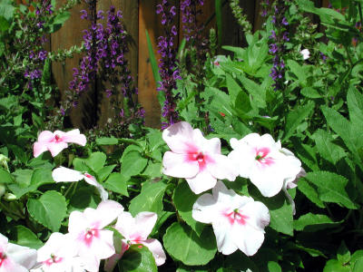 DSCN1076.JPG