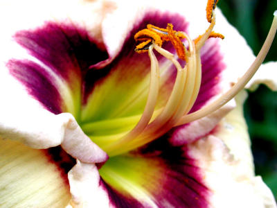 DSCN1084.JPG