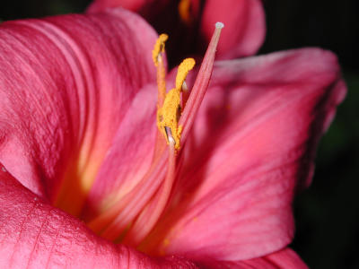 DSCN1088.JPG