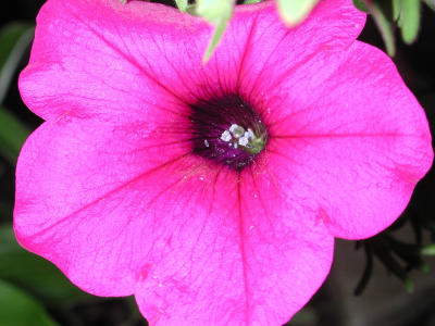 DSCN1089.JPG