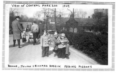 Feeding pigeons