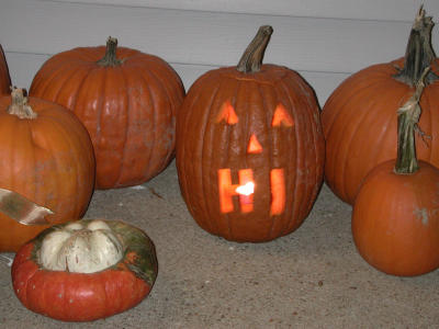 Jim went out to the East End with his Mom and came back with all of these pumpkins.  Then he carved out HI on this one.