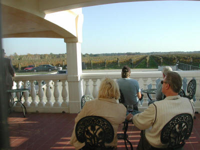 Overlooking the vinyards