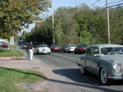 Trying to cross the road