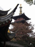 Han Shan Temple Pagoda<br />寒山寺塔