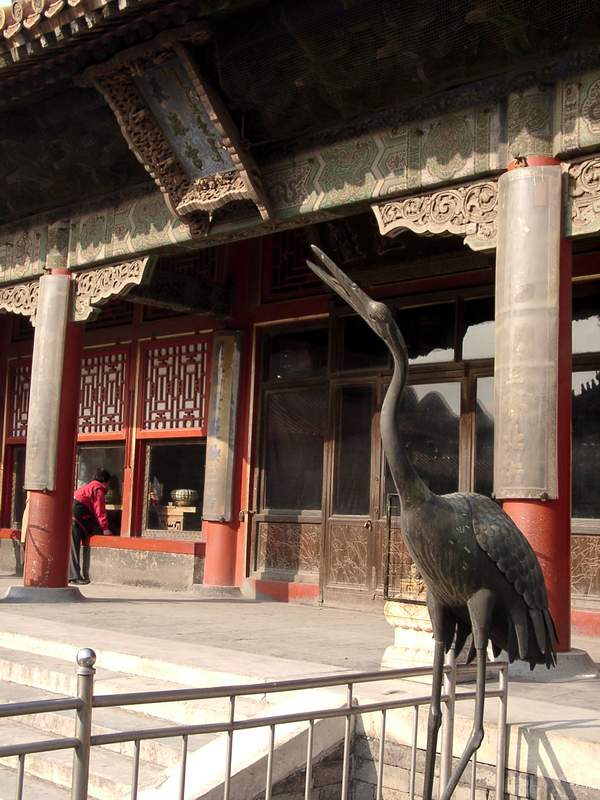Scene of Forbidden City<br />紫禁城一景