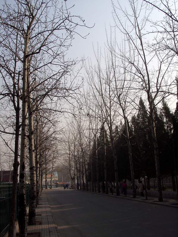 Ding Lin of the Ming Tombs<br />定陵外一景